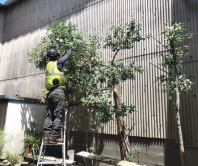 LINE_ALBUM_杉島邸　中央区大江_230719_3